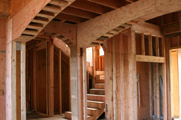 Custom Home